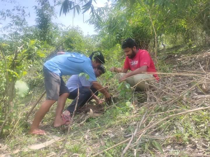 হাতীৰ স্মৃতিসৌধৰ বিপৰীতে বামুণী তপতজুৰিত গছপুলি ৰোপন