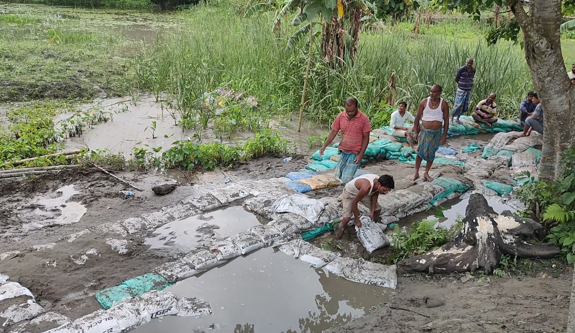 assam flood