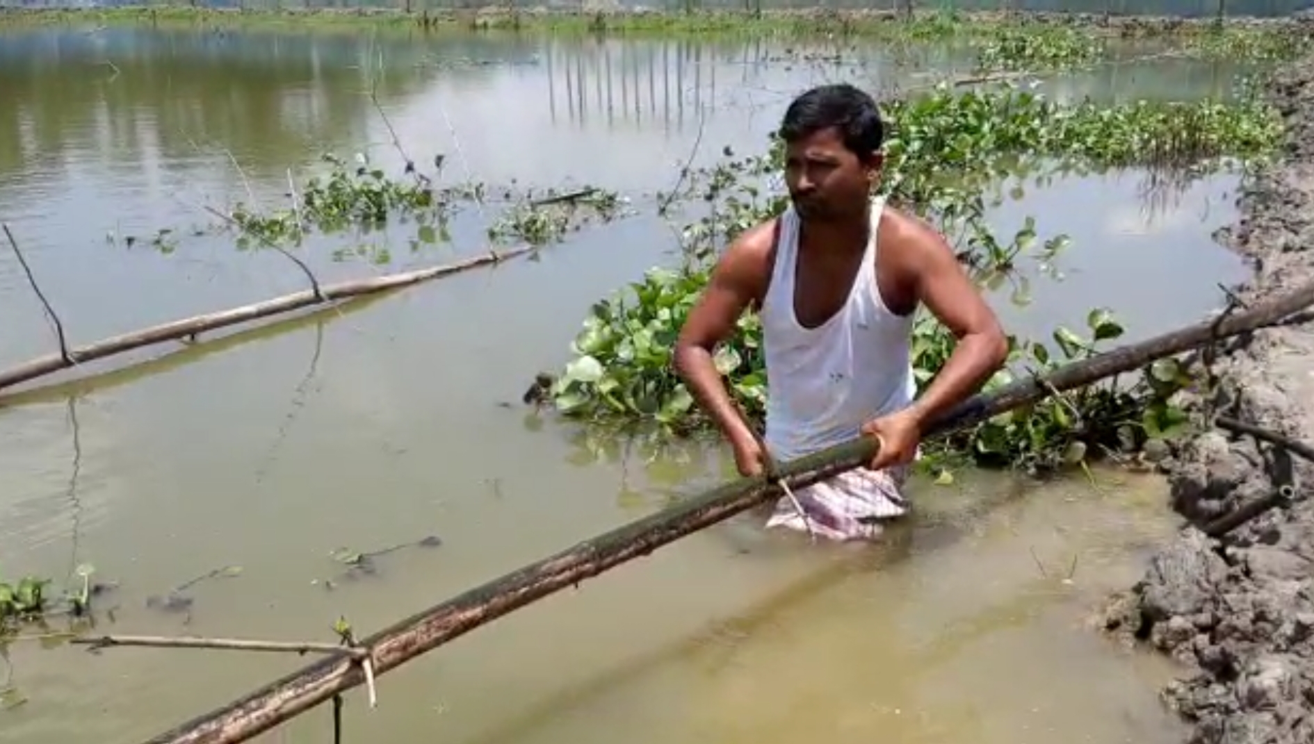 ৰঙিয়া