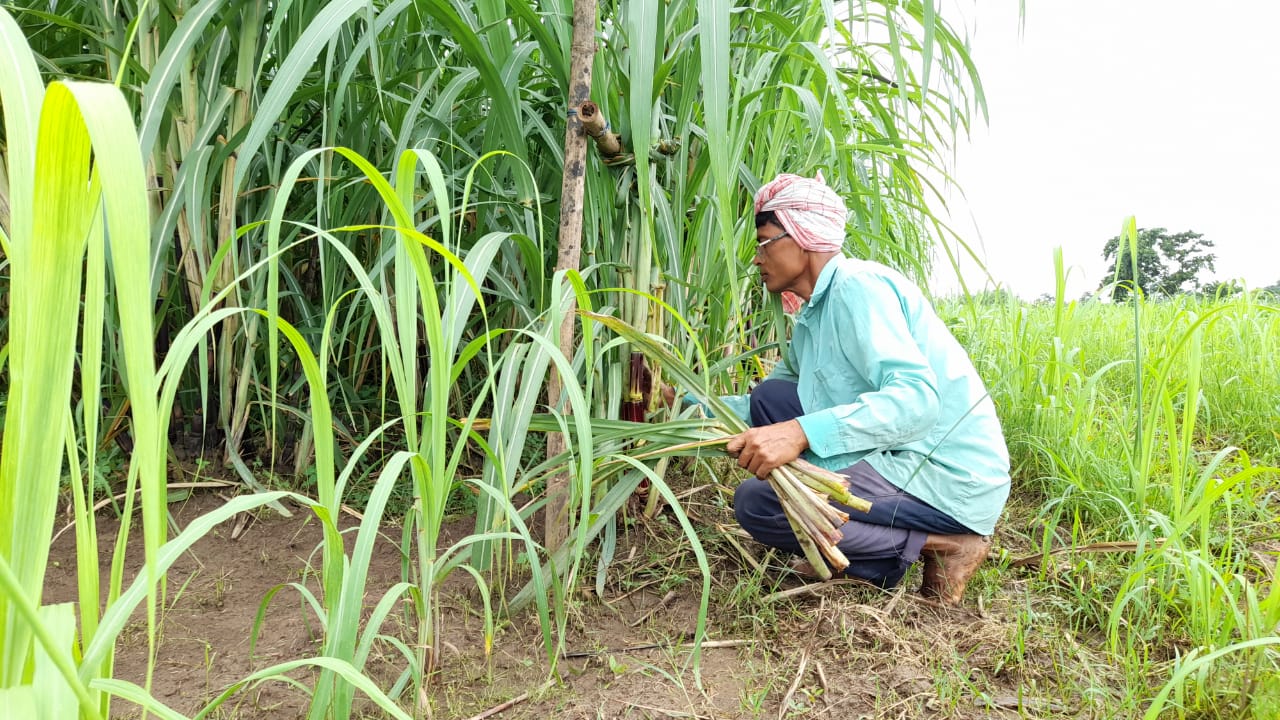 physicist-turned-farmer-influencing-many-others-to-agriculture