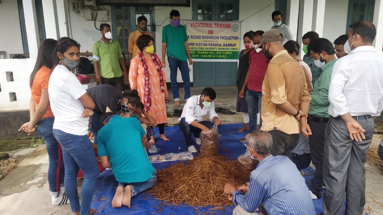 Training on Mushroom cultivation