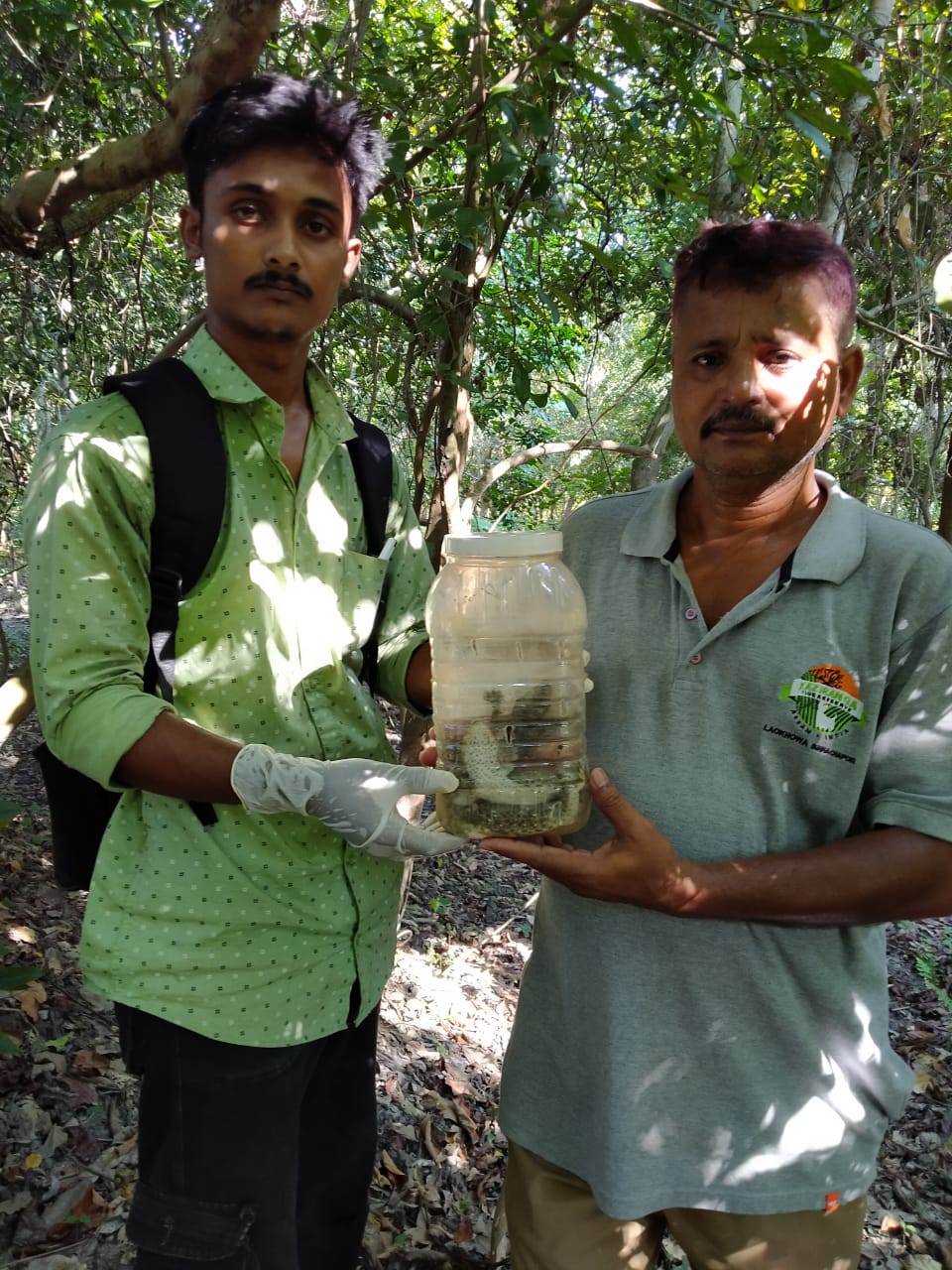 Gecko recoverd in Samaguri