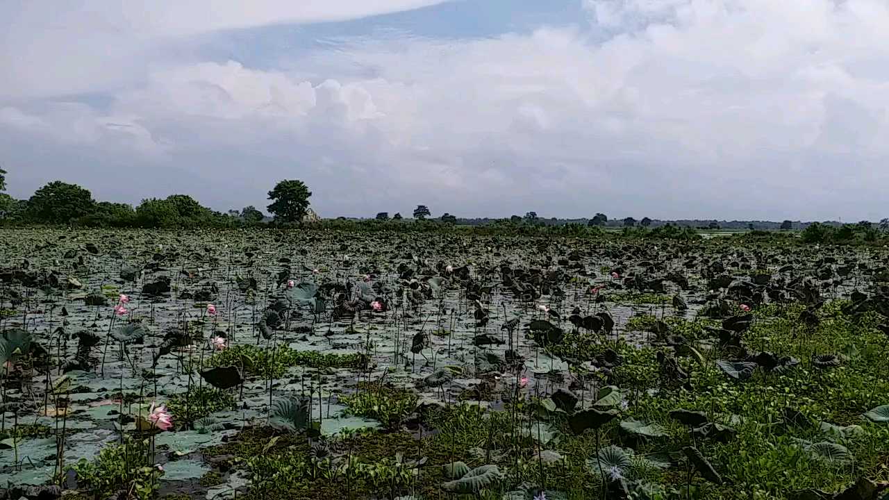 দেশৰ প্ৰথমখন চিৰিয়াখানাৰ সাম্প্ৰতিক অৱস্থা