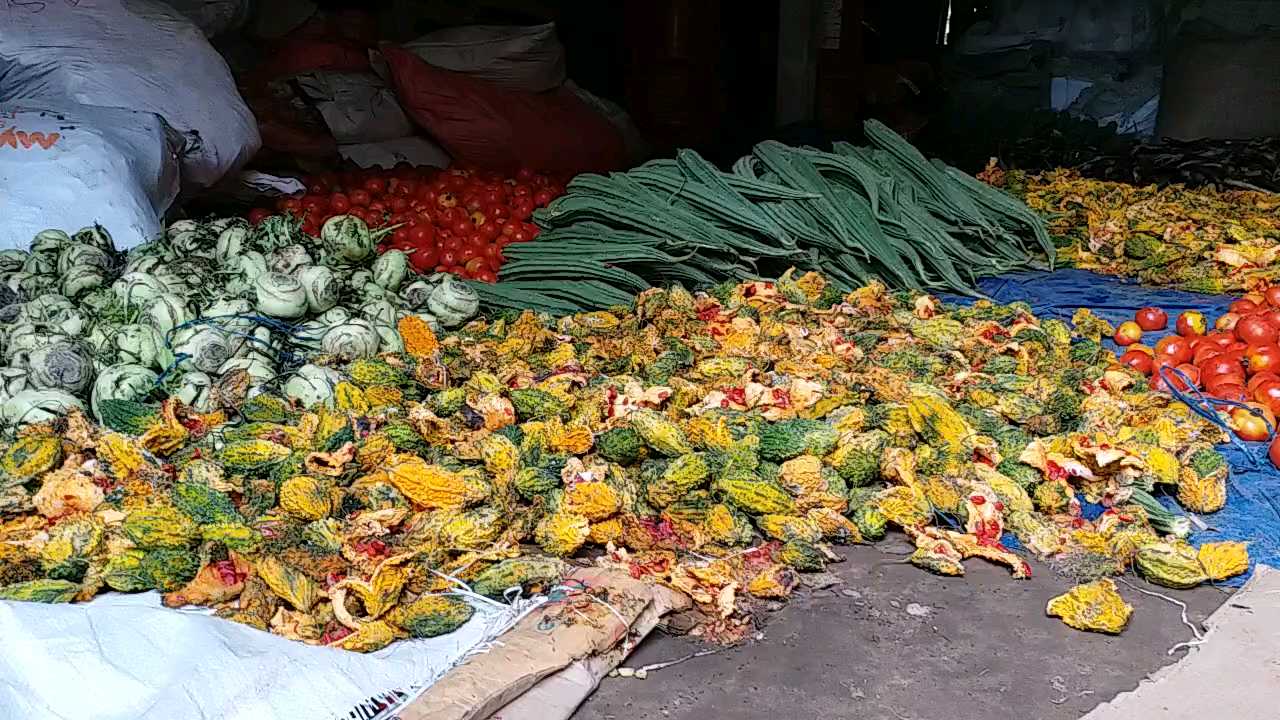 অবৈধ পাচলি নষ্ট কৰাৰ নিৰ্দেশ শিৱসাগৰ জিলা প্ৰশাসনৰ