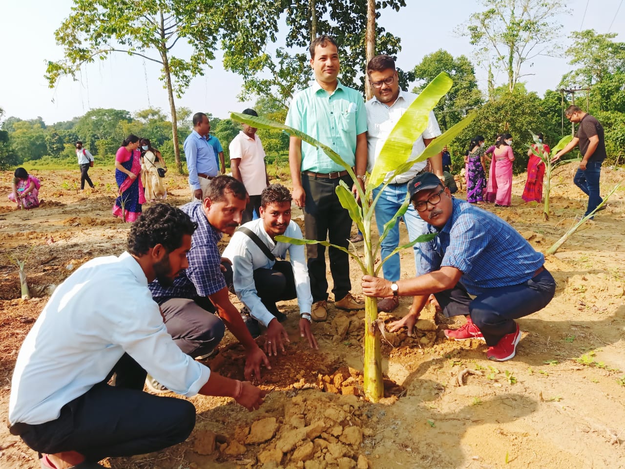 চাহ খেতি কৰা অসমৰ একমাত্ৰ মহাবিদ্যালয়খন