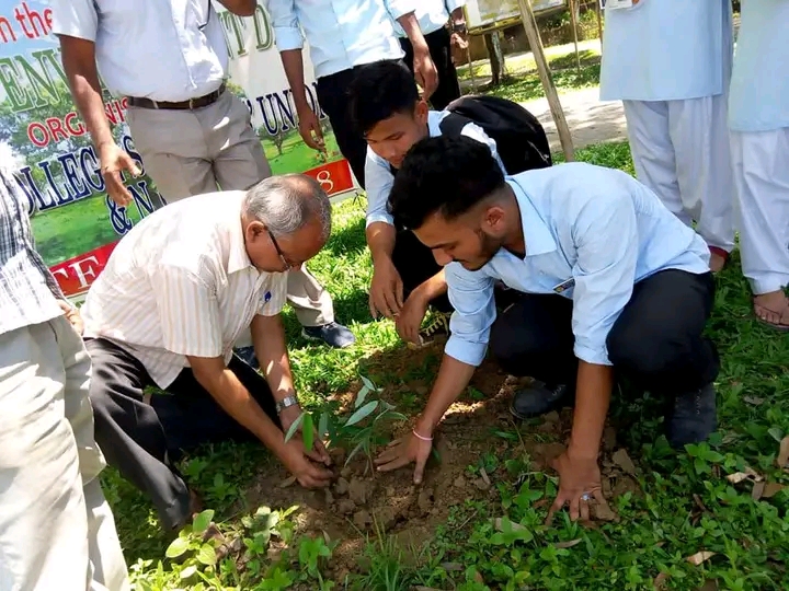 চাহ খেতি কৰা অসমৰ একমাত্ৰ মহাবিদ্যালয়খন