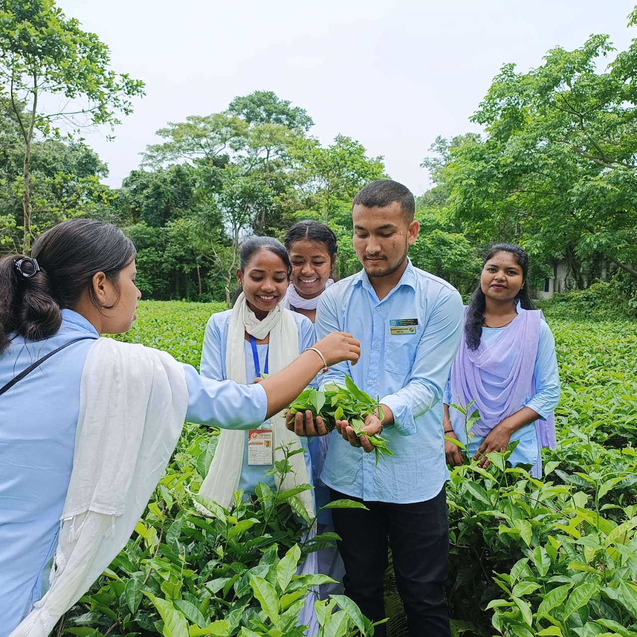 চাহ খেতি কৰা অসমৰ একমাত্ৰ মহাবিদ্যালয়খন