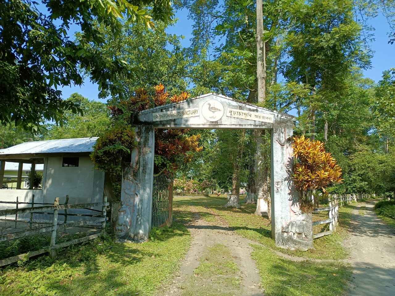 Encroachments at forest areas