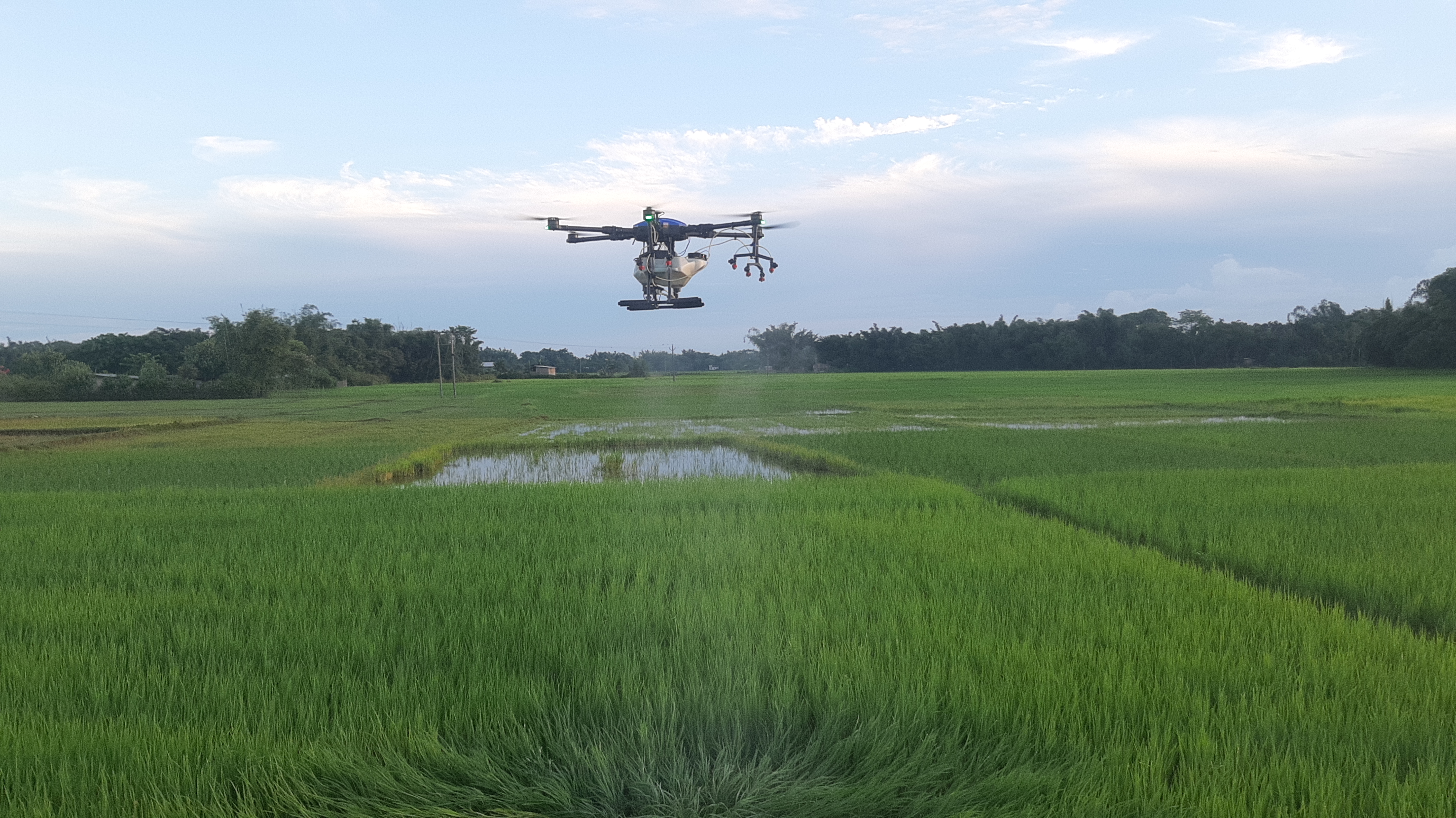 Fertilizers and pesticides applied to agriculture by drones