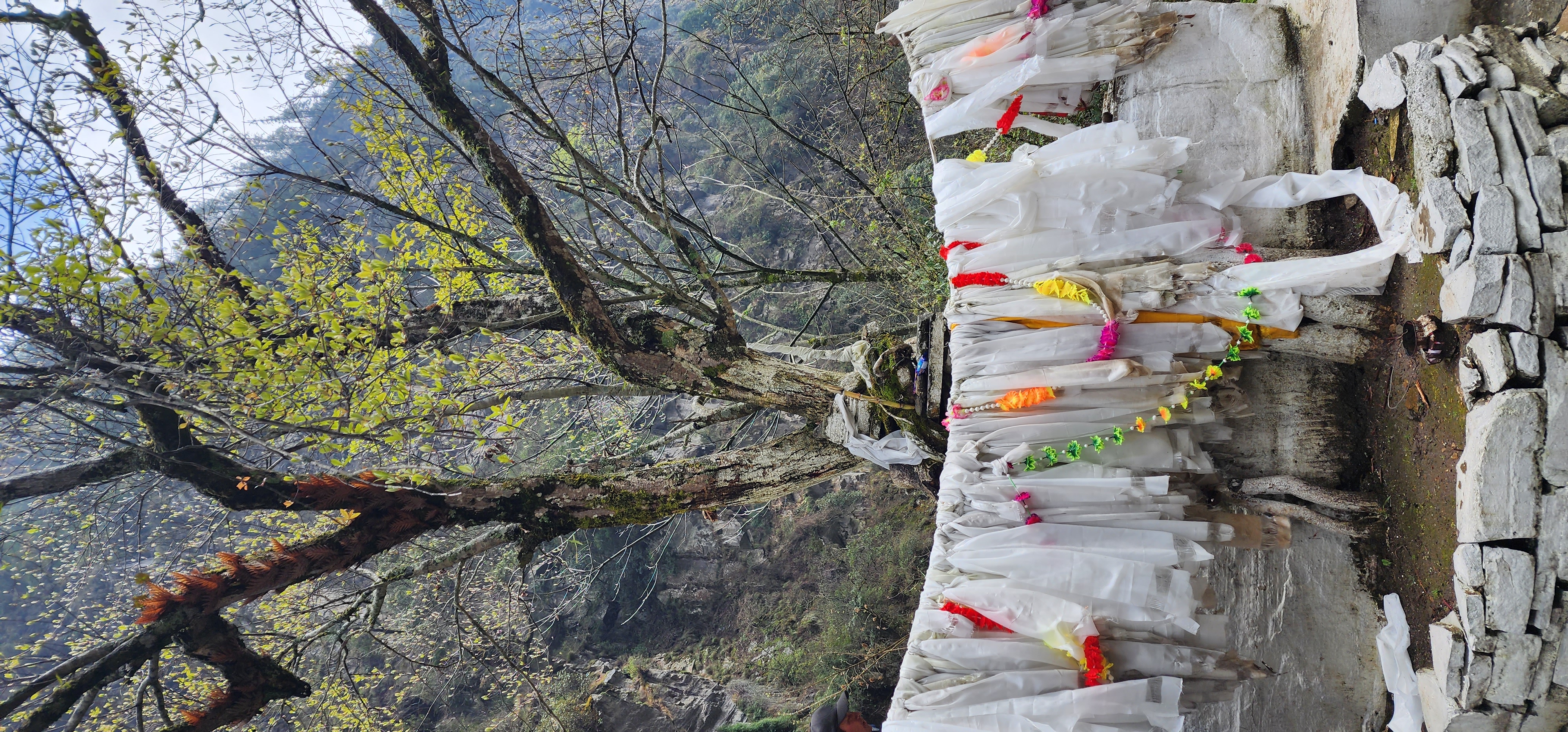 Tobacco free villages at Tawang