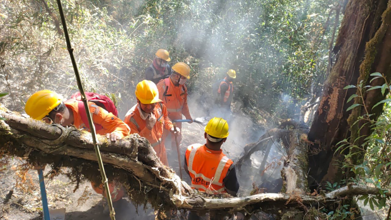 indian-army-and-assam-rifles-join-iaf-ndrf-to-douse-fire-in-dzukou-valley-in-nagaland-manipur