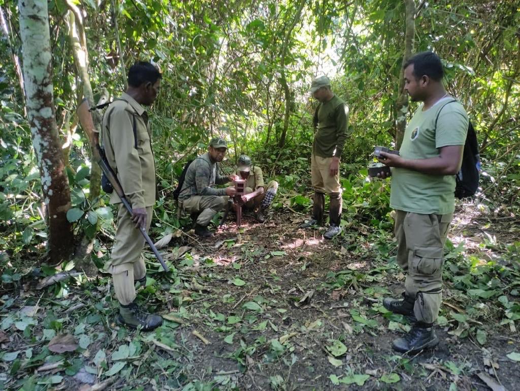 সোণাই ৰূপাই অভয়াৰণ্যত বন বিভাগৰ কেমেৰা ট্রেপিং