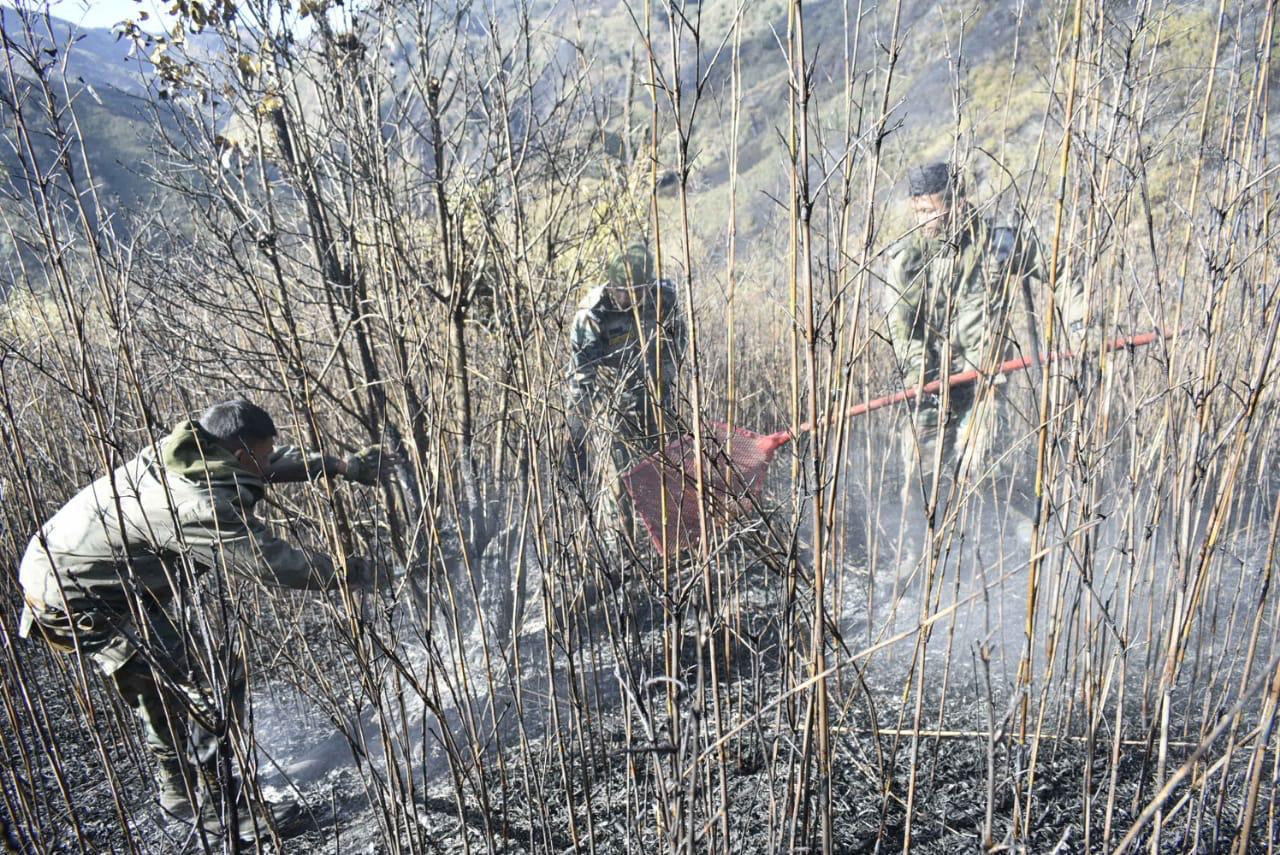 security forces deployed in northern part of dzukou valley