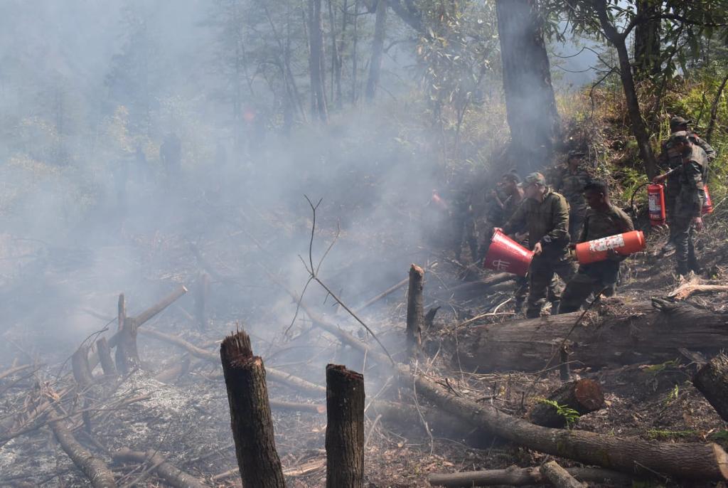 indian army douses raging forest fire at anjaw in arunachal