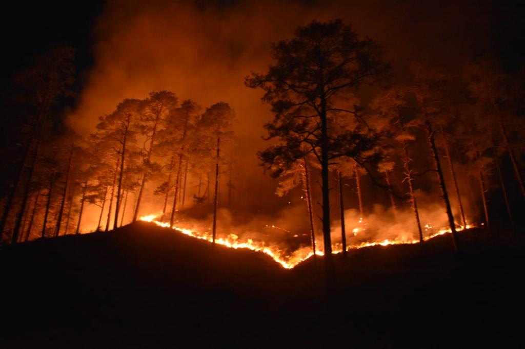 indian army douses raging forest fire at anjaw in arunachal