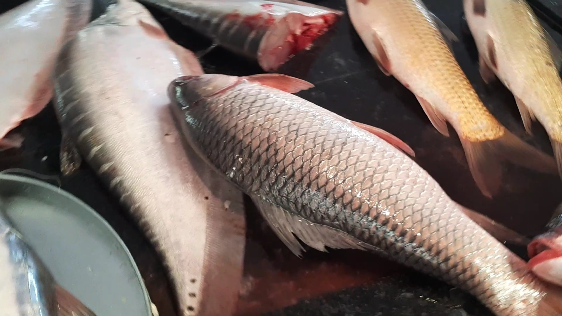 Uruka fish market at Tezpur