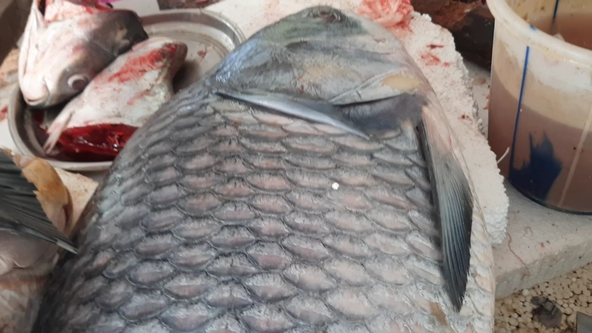 Uruka fish market at Tezpur