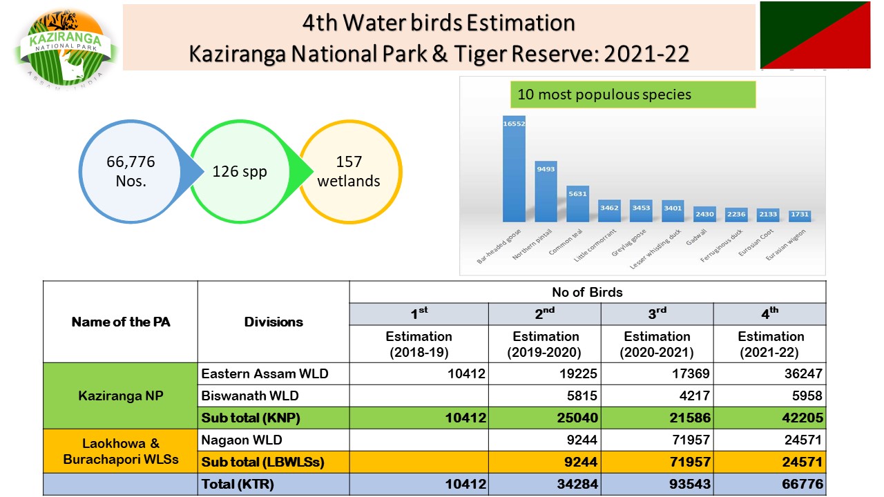 Eastern Swamp Deer census in Kaziranga