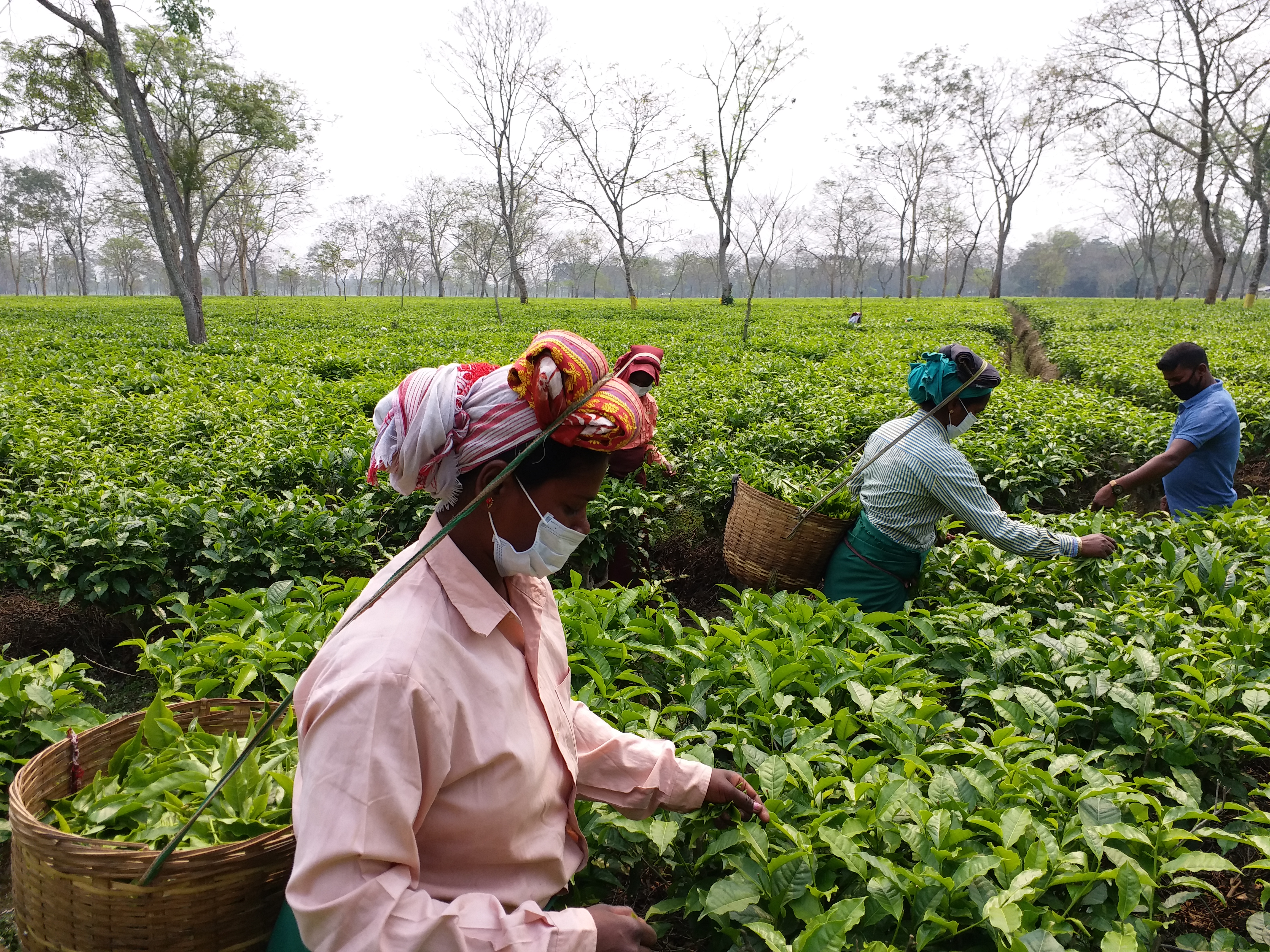 an industrial worker has to spend around 50 per cent of his daily wage food