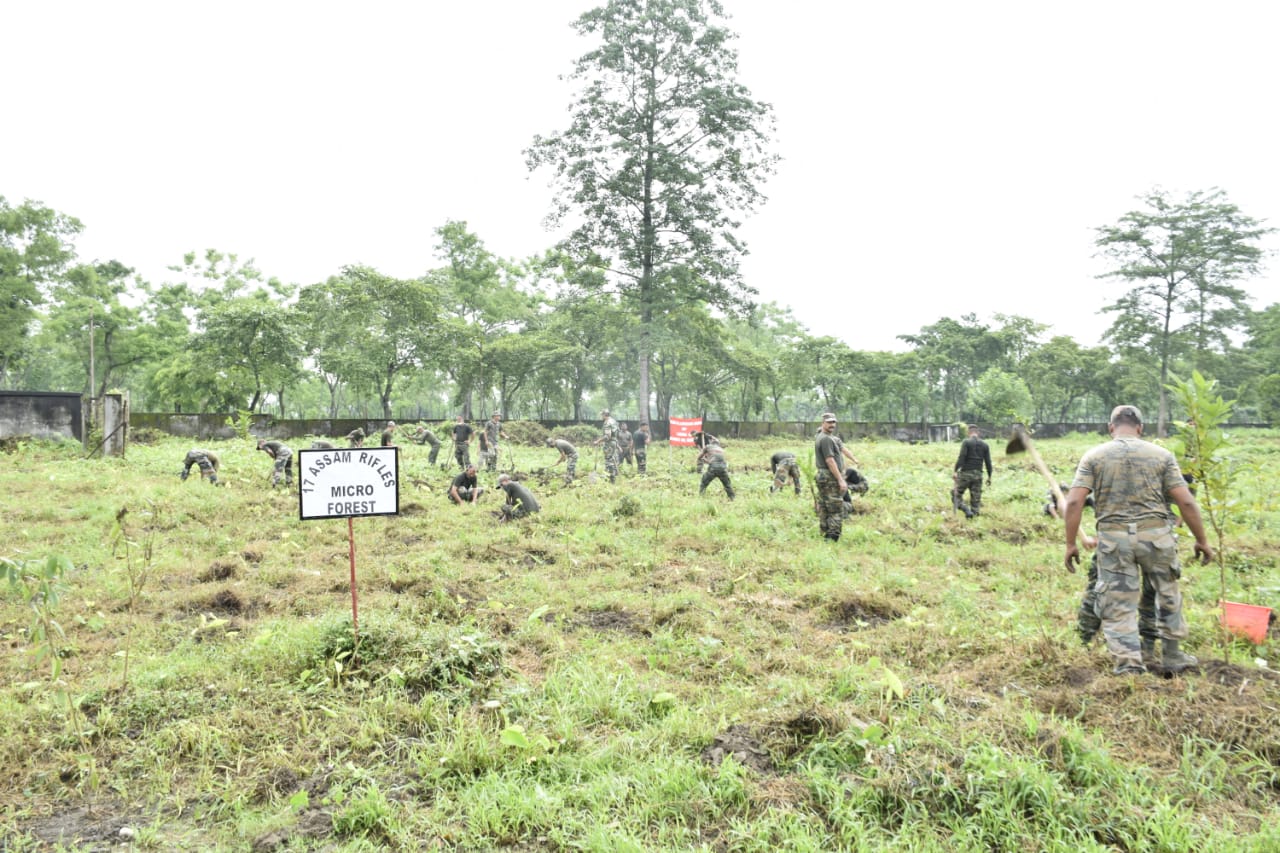 Assam Rifels plantation programme at Tezpur