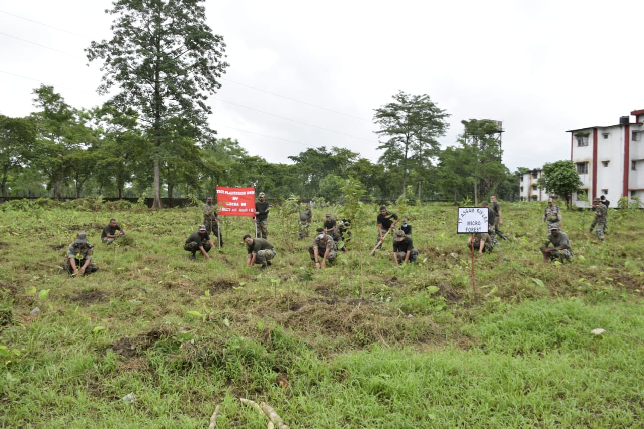 Assam Rifels plantation programme at Tezpur