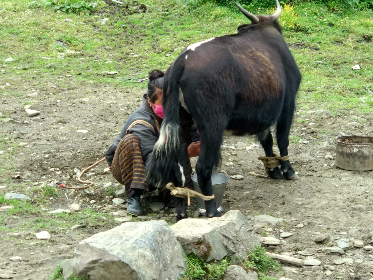 Arunachal Pradesh