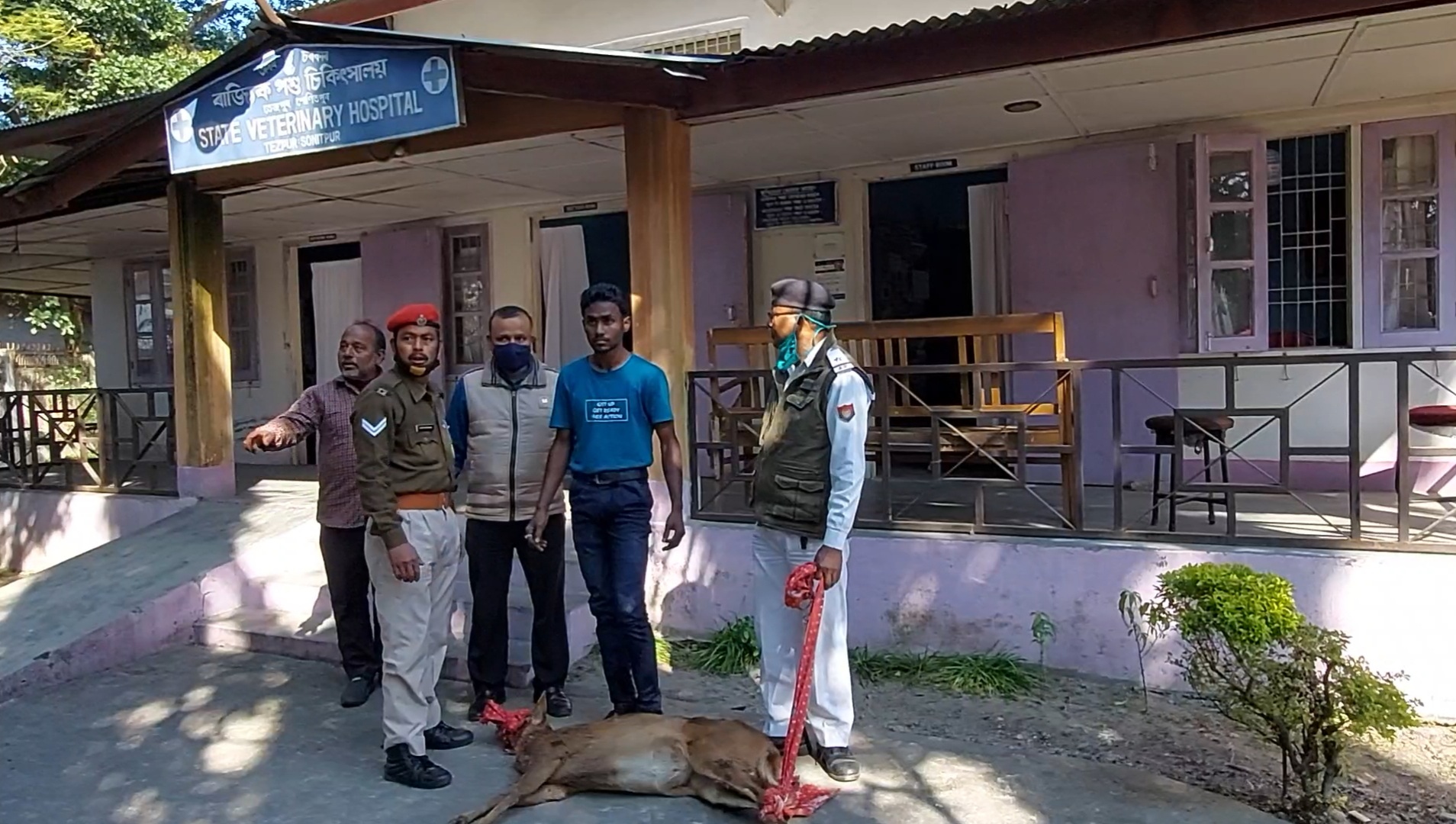 তেজপুৰ আৰক্ষীৰ তৎপৰতাত প্ৰাণ ৰক্ষা এটা পহুৰ