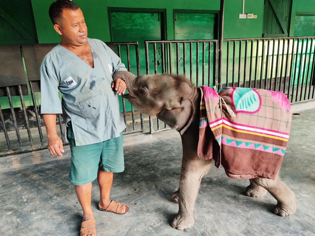 New Guest at Panbari (CWRC) in Kaziranga