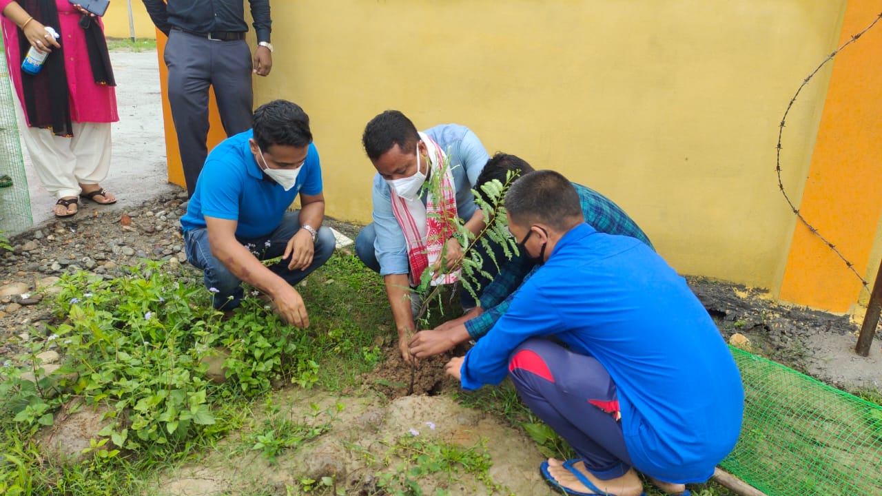 World Environment Day celebrated by various groups including absu in Odalguri
