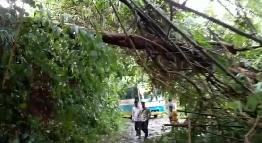 Heavy Strom in Karbi Anglong