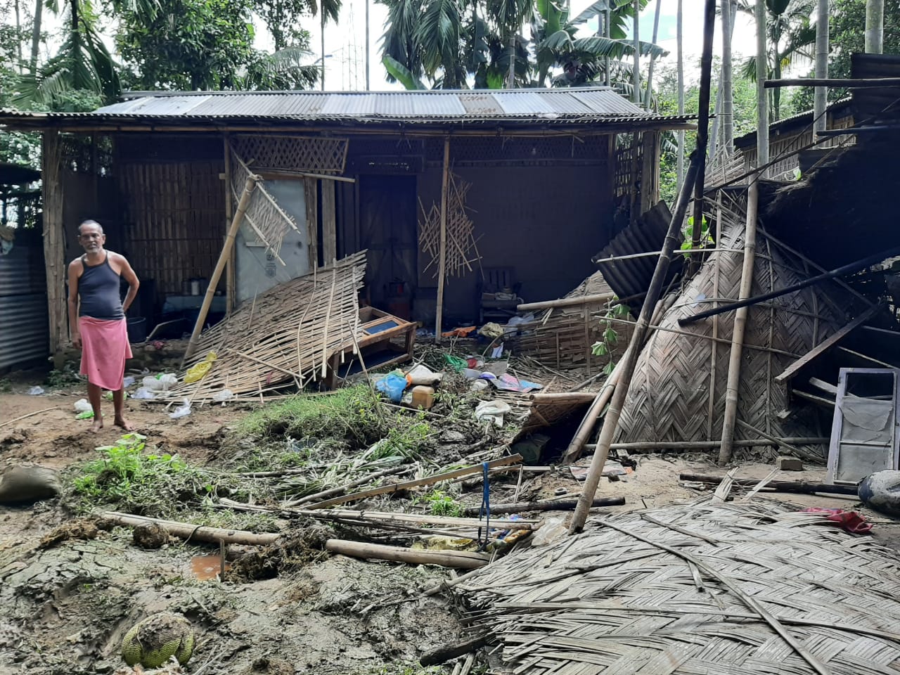 wild elephant destroy houses at bokajan area