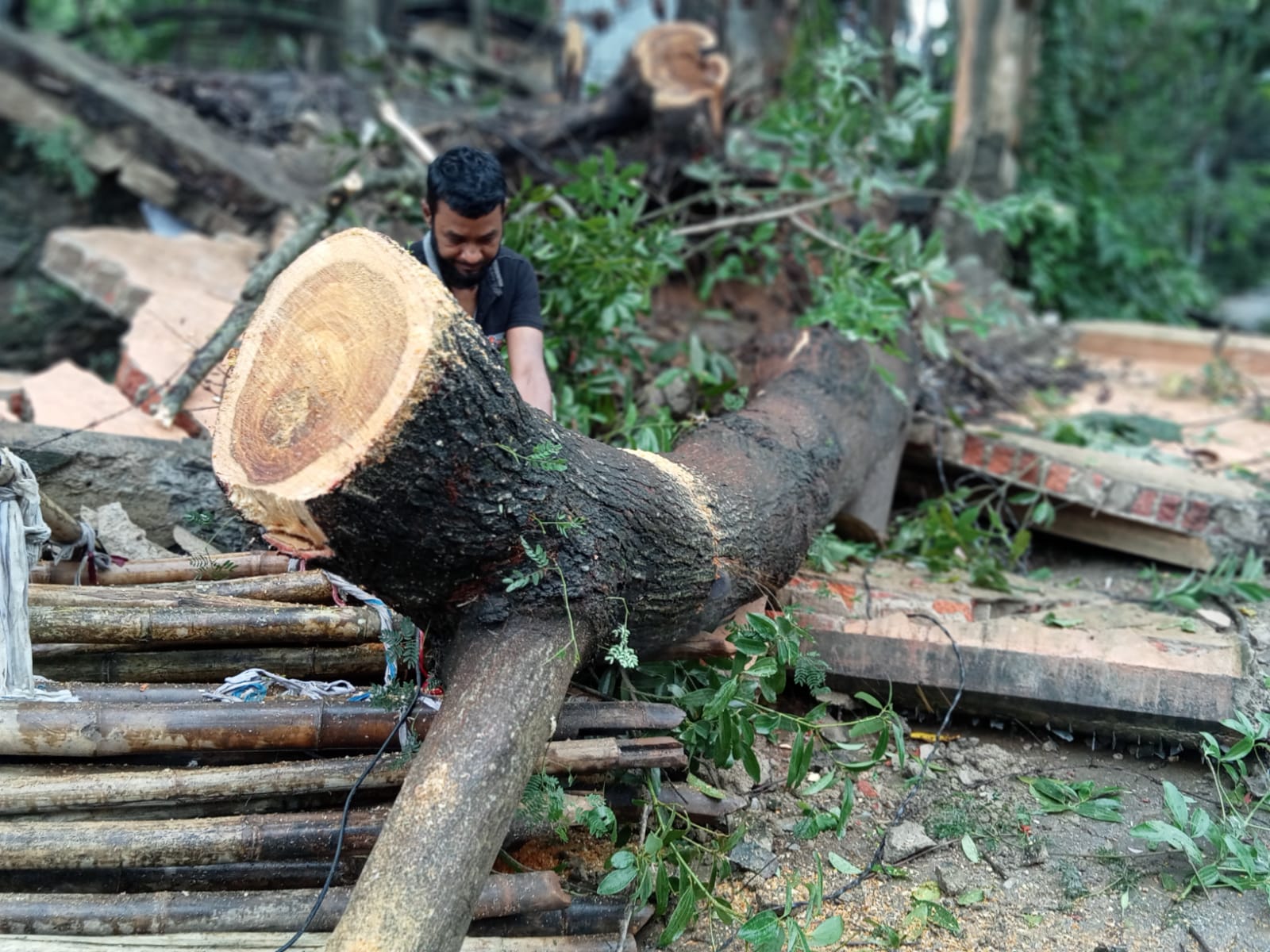 Guard wall collapses at Krishnanagar