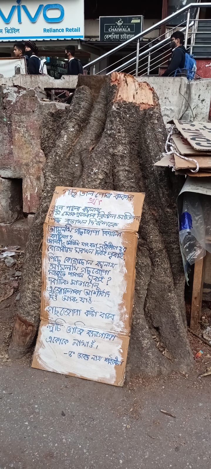 Guwahati development deparment cut down many tree