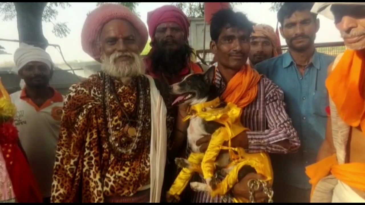 WEDDING OF PET DOG AND BITCH WAS DONE ACCORDING TO HINDU CUSTOMS