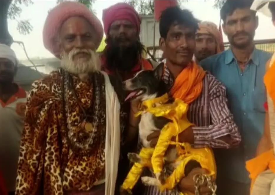 WEDDING OF PET DOG AND BITCH WAS DONE ACCORDING TO HINDU CUSTOMS