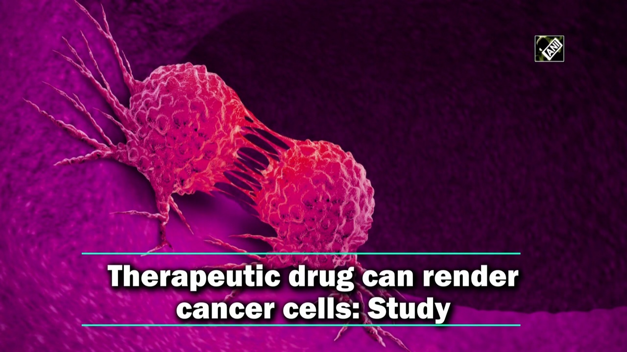 થેરાપ્યુટિક દવા કેન્સરના કોષોને રેન્ડર કરી શકે છે, અભ્યાસ કહે છે