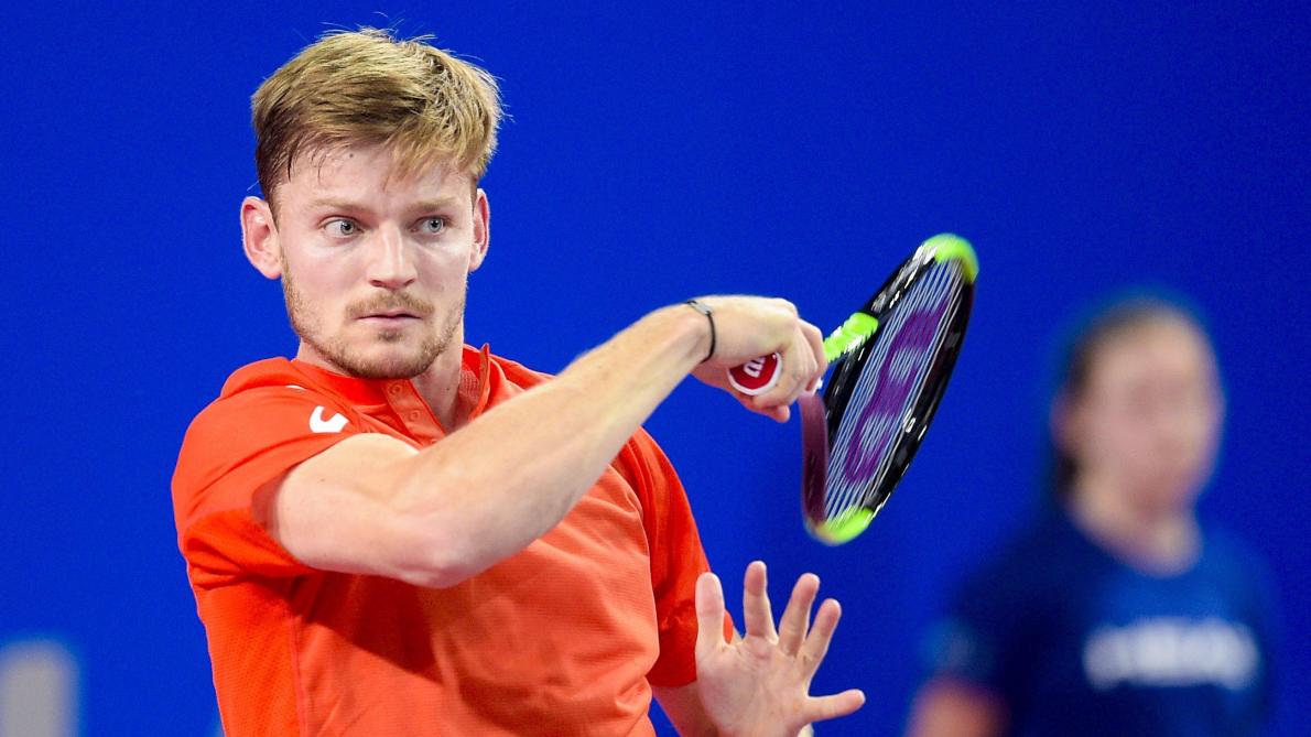 David Goffin