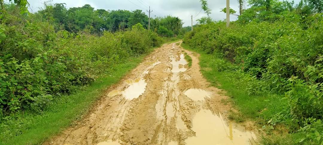 পথৰ দুৰৱস্থাই অতিষ্ঠ কৰিছে বৰপথাৰবাসীক