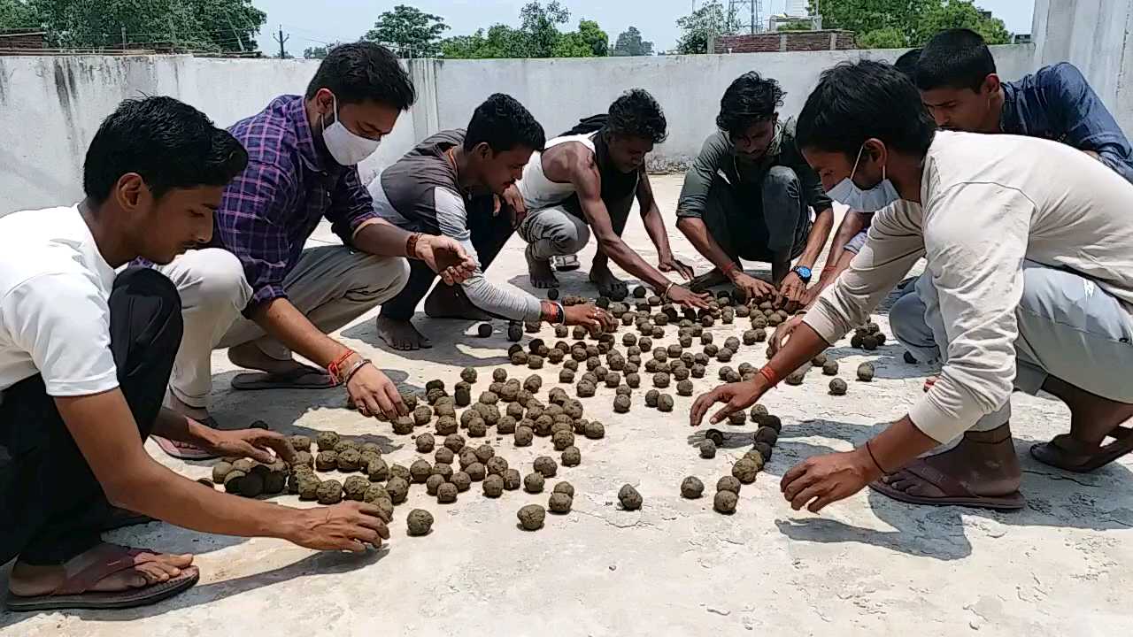 youth is making seed bomb in Dhanrua