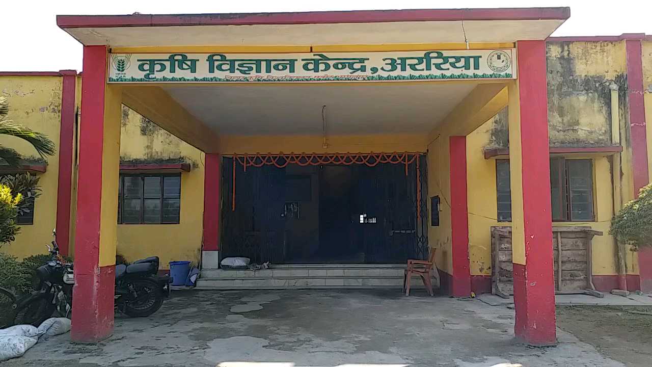 araria