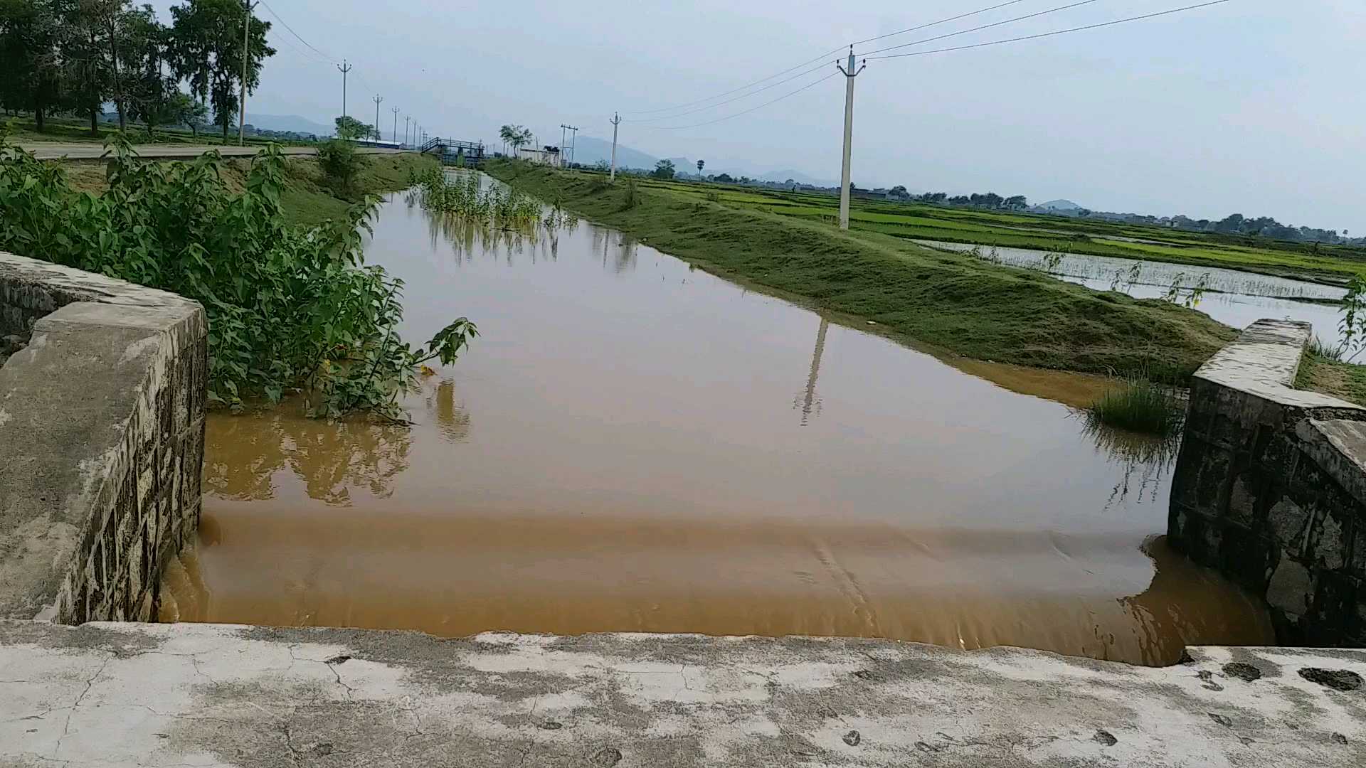 Water released in North Koyal Canal of aurangabad
