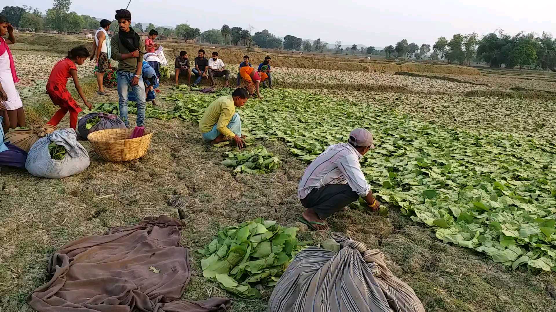 aurangabad