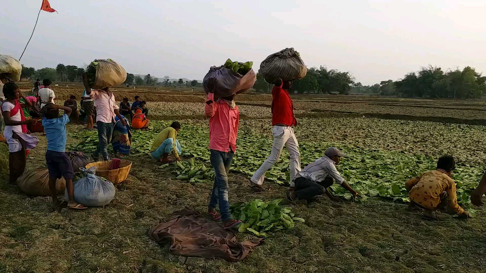 aurangabad