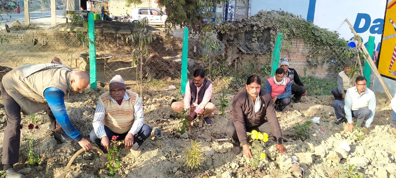 नव वर्ष पर पौधा रोपन