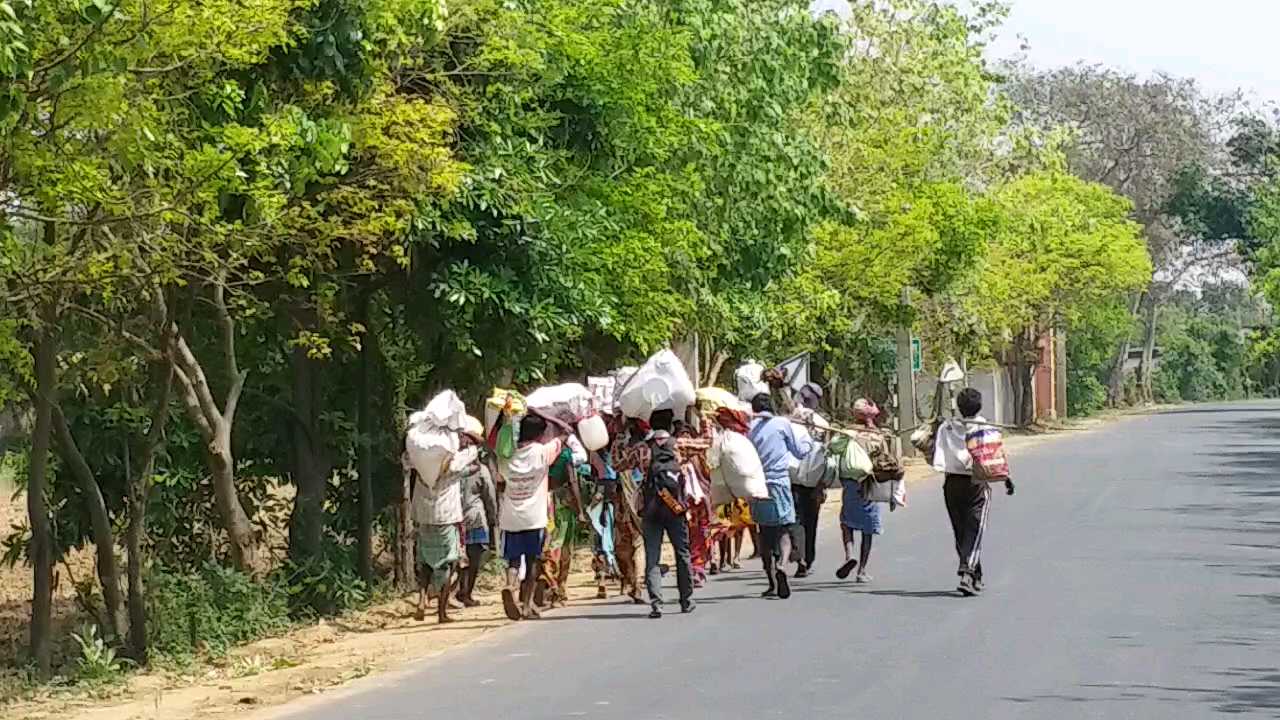 पैदल ही घर निकले मजदूर