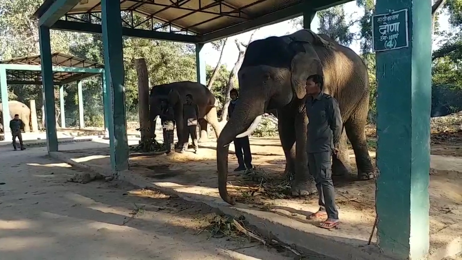 बेतिया