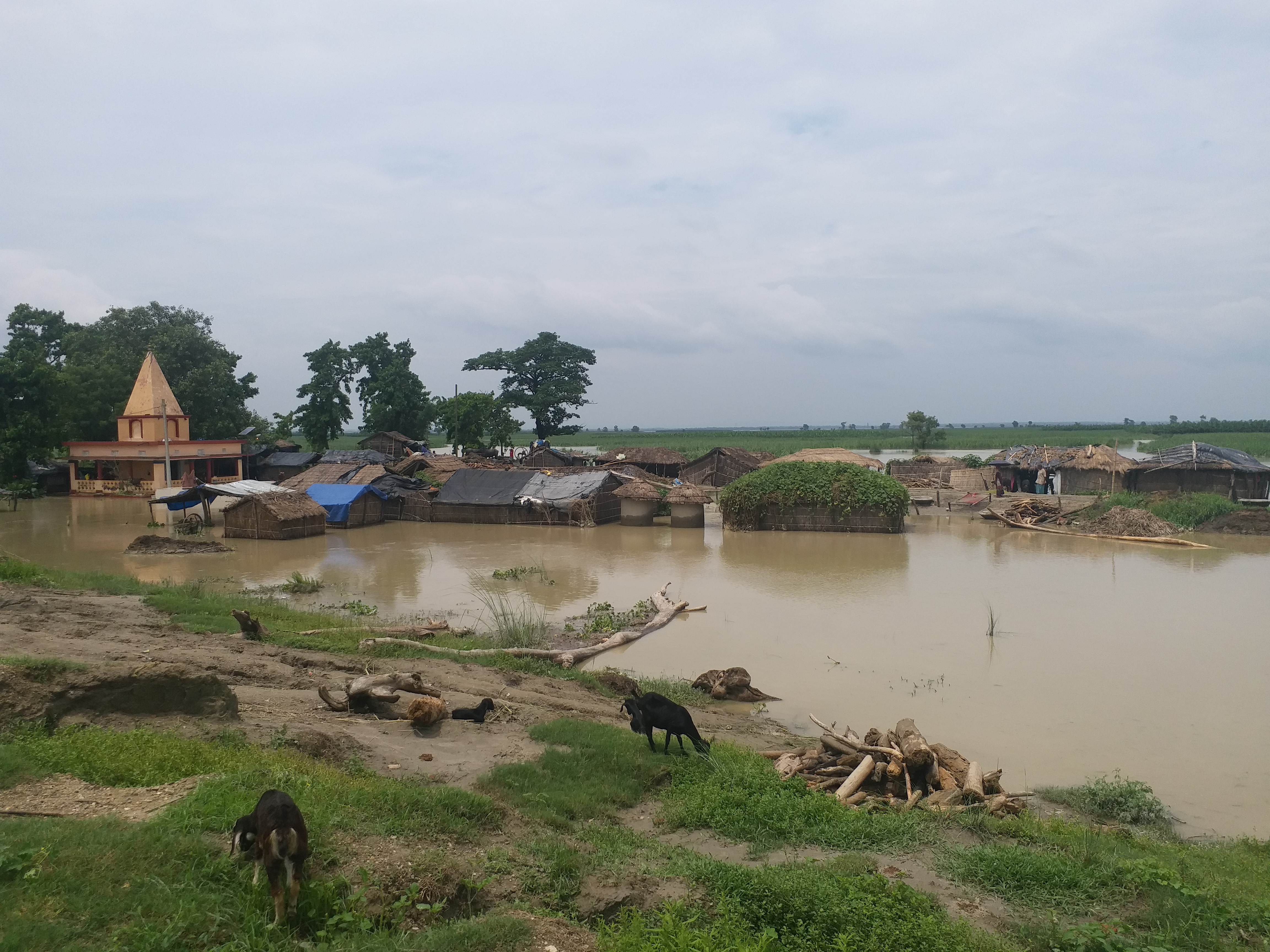 पिपरासी प्रखंड के कई गांव जलमग्न