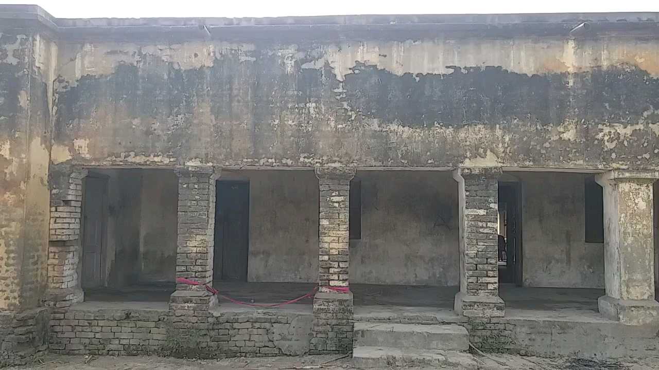 bagha sanskrit school