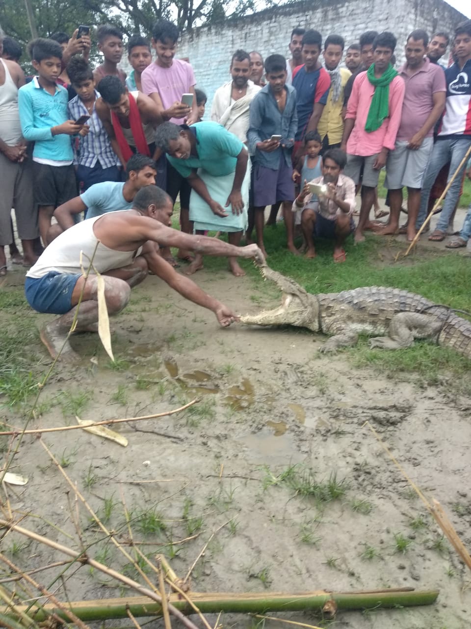 Valmiki Tiger Reserve