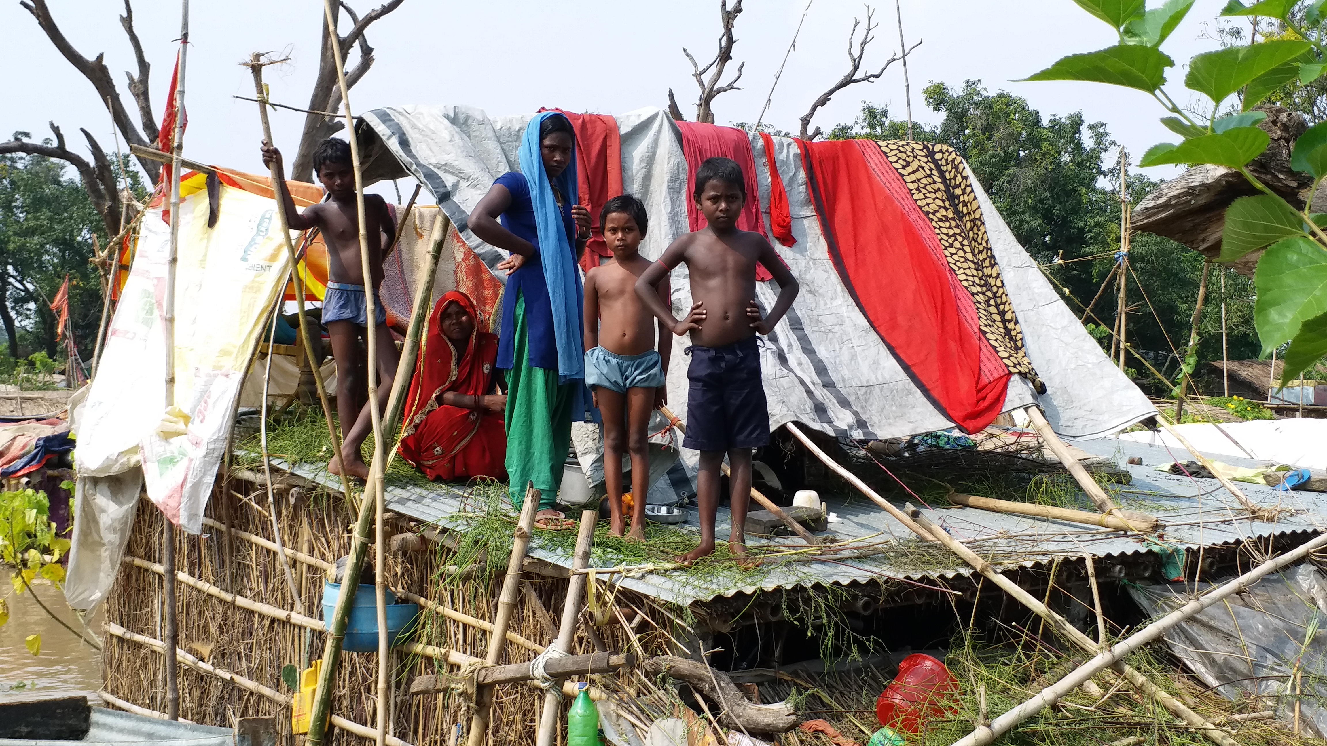 flood victims are living on trees